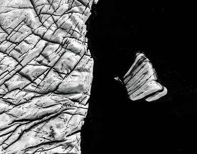 Брянцев приглашают к участию в конкурсе художественных фотографий «Профессии будущего» глазами студентов «Профессионалитета»